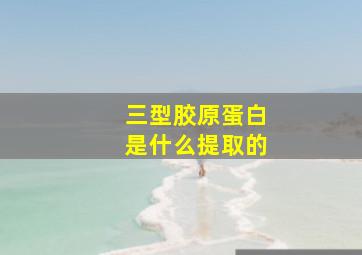 三型胶原蛋白是什么提取的