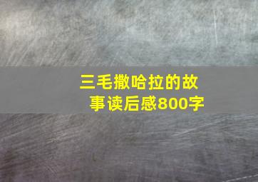 三毛撒哈拉的故事读后感800字