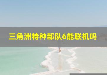 三角洲特种部队6能联机吗