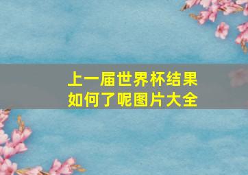 上一届世界杯结果如何了呢图片大全