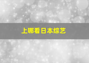 上哪看日本综艺