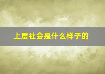 上层社会是什么样子的