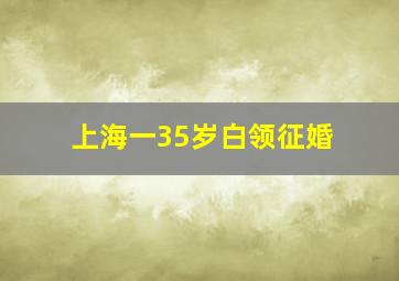 上海一35岁白领征婚