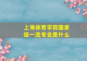 上海体育学院国家级一流专业是什么