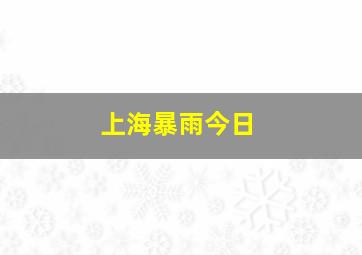 上海暴雨今日