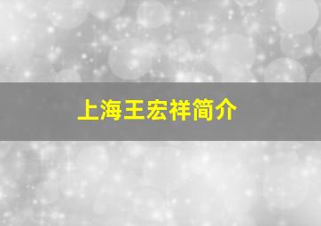 上海王宏祥简介