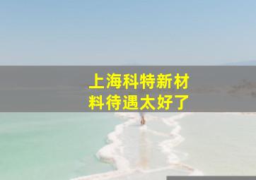 上海科特新材料待遇太好了