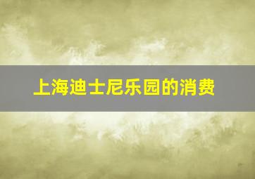 上海迪士尼乐园的消费