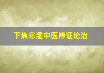 下焦寒湿中医辨证论治