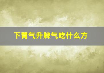 下胃气升脾气吃什么方