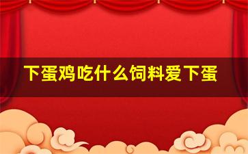 下蛋鸡吃什么饲料爱下蛋