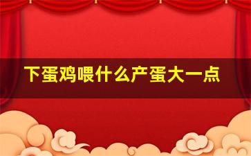 下蛋鸡喂什么产蛋大一点