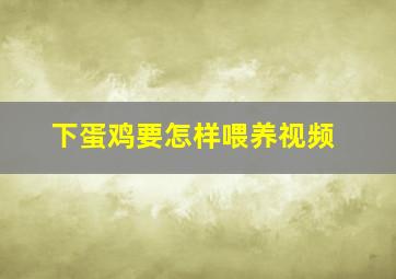 下蛋鸡要怎样喂养视频