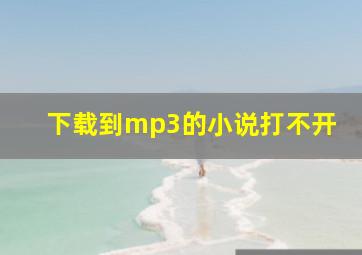 下载到mp3的小说打不开