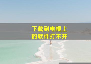 下载到电视上的软件打不开