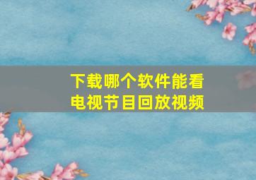 下载哪个软件能看电视节目回放视频