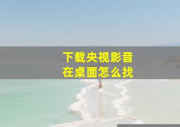 下载央视影音在桌面怎么找