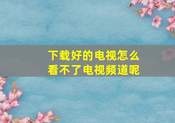 下载好的电视怎么看不了电视频道呢