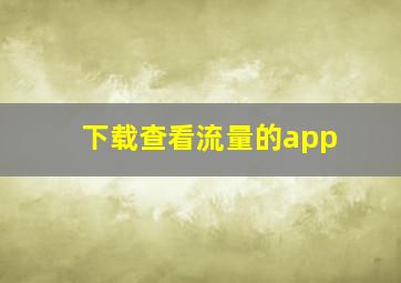 下载查看流量的app