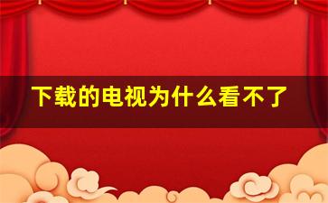 下载的电视为什么看不了