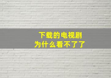 下载的电视剧为什么看不了了