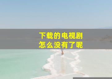 下载的电视剧怎么没有了呢