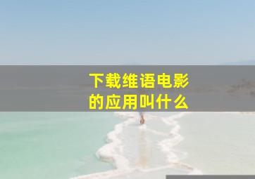 下载维语电影的应用叫什么