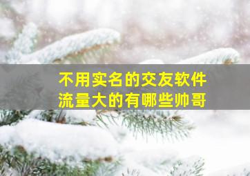 不用实名的交友软件流量大的有哪些帅哥