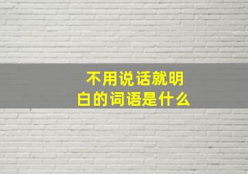 不用说话就明白的词语是什么