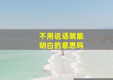 不用说话就能明白的意思吗