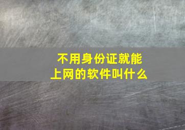 不用身份证就能上网的软件叫什么