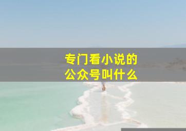 专门看小说的公众号叫什么