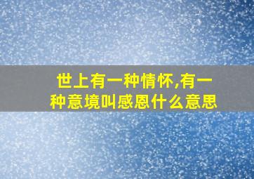 世上有一种情怀,有一种意境叫感恩什么意思