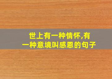 世上有一种情怀,有一种意境叫感恩的句子