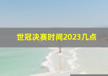 世冠决赛时间2023几点