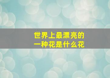 世界上最漂亮的一种花是什么花