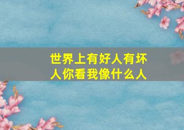 世界上有好人有坏人你看我像什么人