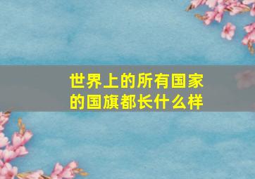 世界上的所有国家的国旗都长什么样