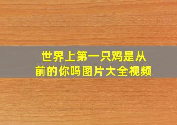 世界上第一只鸡是从前的你吗图片大全视频