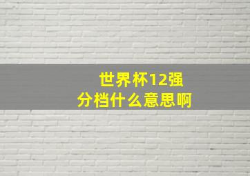 世界杯12强分档什么意思啊