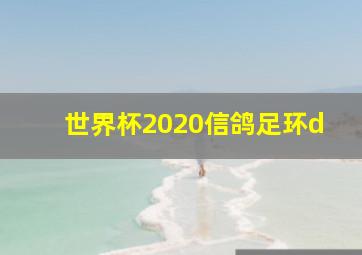 世界杯2020信鸽足环d