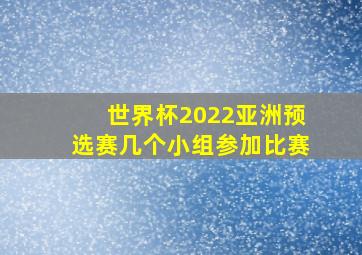 世界杯2022亚洲预选赛几个小组参加比赛