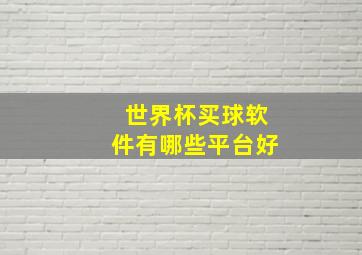 世界杯买球软件有哪些平台好