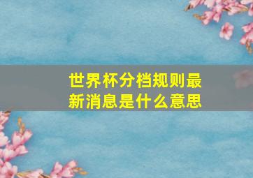 世界杯分档规则最新消息是什么意思