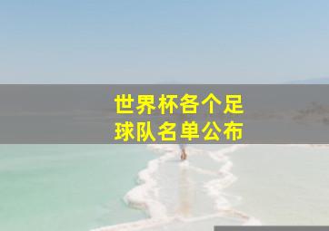 世界杯各个足球队名单公布