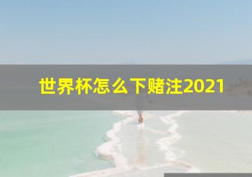 世界杯怎么下赌注2021