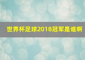 世界杯足球2018冠军是谁啊