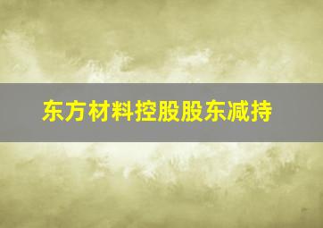 东方材料控股股东减持