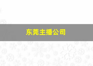 东莞主播公司