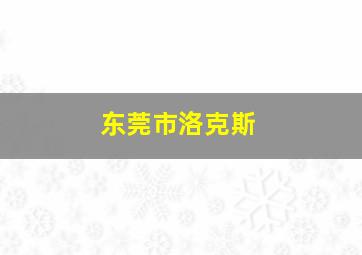 东莞市洛克斯